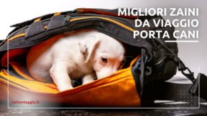 Scopri di più sull'articolo Zaini Porta Cani da Viaggio: Migliori Modelli 2024 con Offerte ed Opinioni